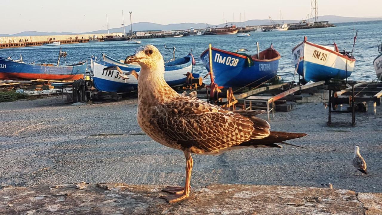 Blue Bay Sea View Apartment Pomorie Bagian luar foto